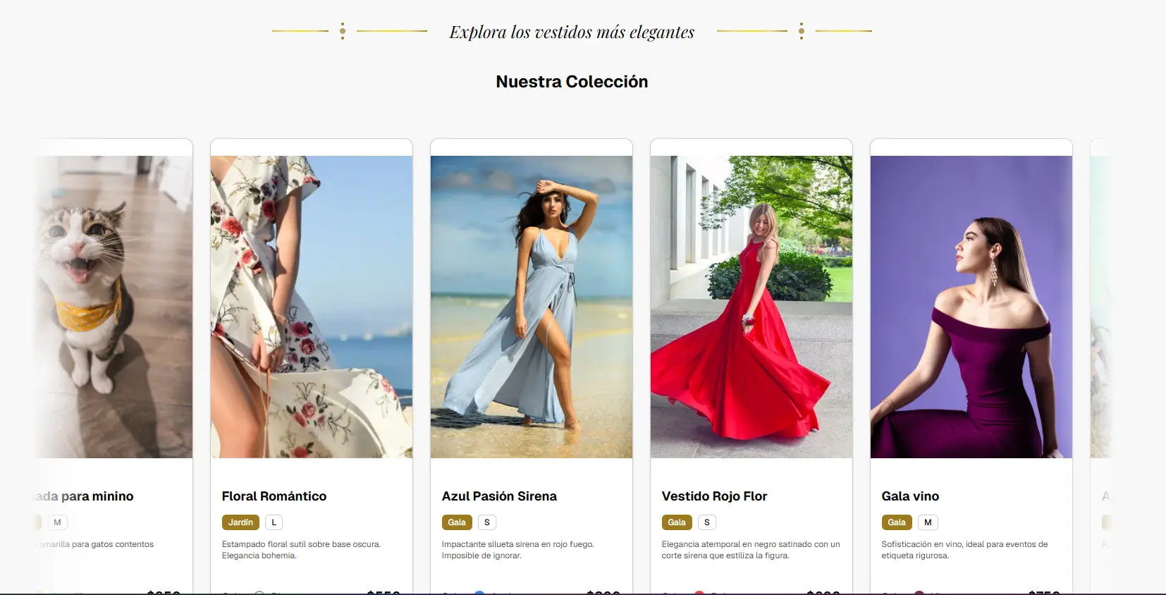 Infraestructura Digital para Fashion Rental